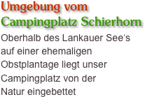 Umgebung vom 
Campingplatz Schierhorn
Oberhalb des Lankauer See‘s 
auf einer ehemaligen Obstplantage liegt unser Campingplatz von der 
Natur eingebettet 
